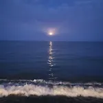Playa La Vina P * Torremolinos